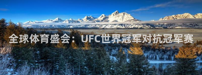 世界杯足球:全球体育盛会:UFC世界冠军对抗冠军赛