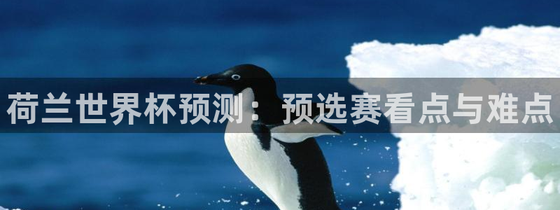 2026世界杯南美区积分榜:荷兰世界杯预测:预选赛看点与难点