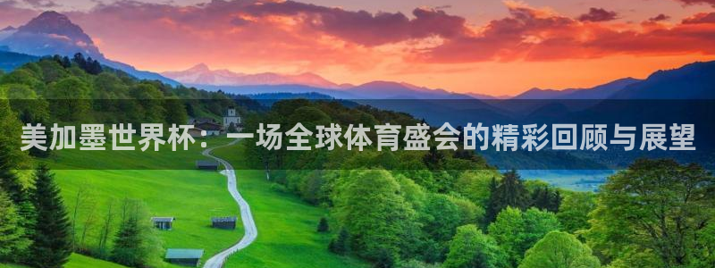 世预赛免费直播入口:美加墨世界杯:一场全球体育盛会的精彩回顾与展望