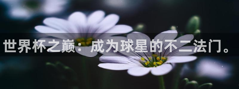 英格兰联赛杯直播:世界杯之巅:成为球星的不二法门。