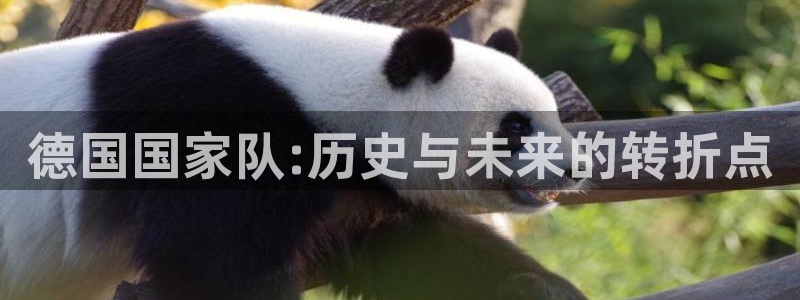 欧联杯直播:德国国家队:历史与未来的转折点