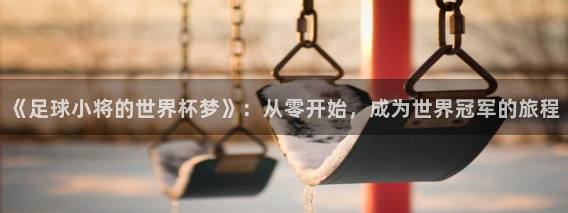 世界直播:《足球小将的世界杯梦》:从零开始,成为世界冠军的旅程