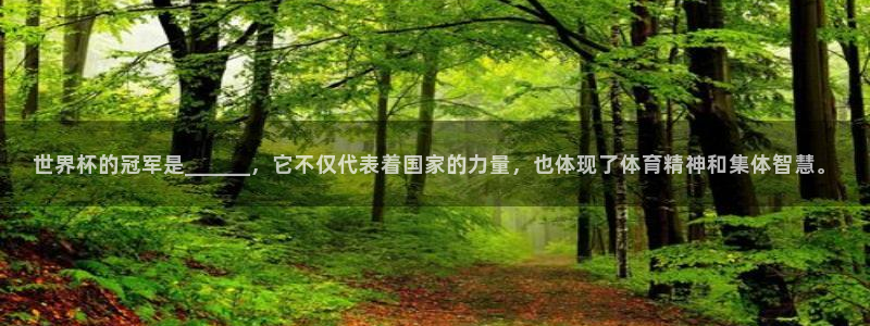2026世界杯直播:世界杯的冠军是______,它不仅代表着国家的力量,也体现了体育精神和集体智慧。