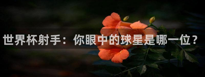 世界杯预选赛亚洲区赛程:世界杯射手:你眼中的球星是哪一位?